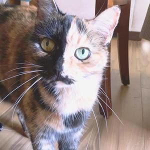 Meet your Posher, Joanne